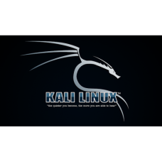 Установка Kali Linux Установка Kali Linux